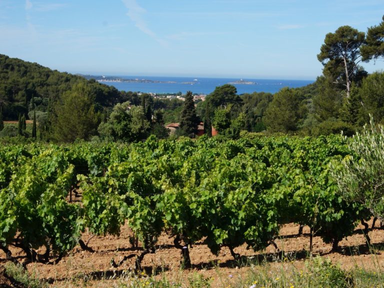 Domaine de Terrebrune