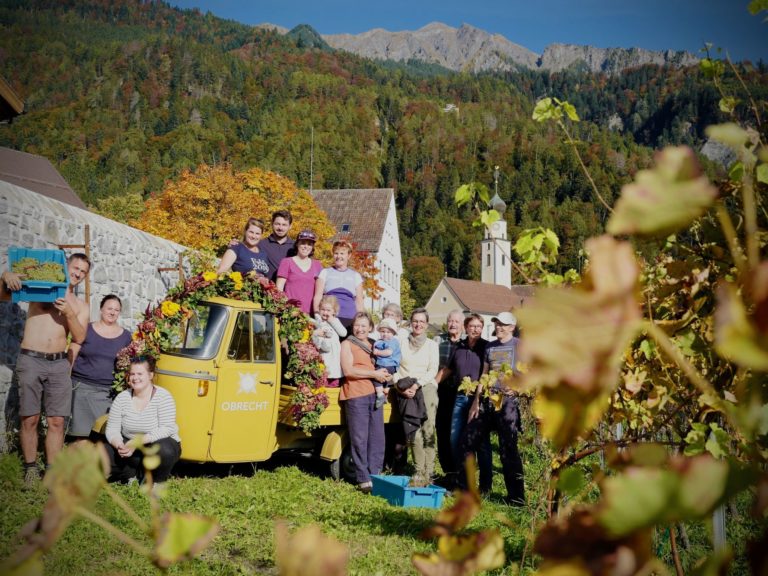 Obrecht Weingut zur Sonne