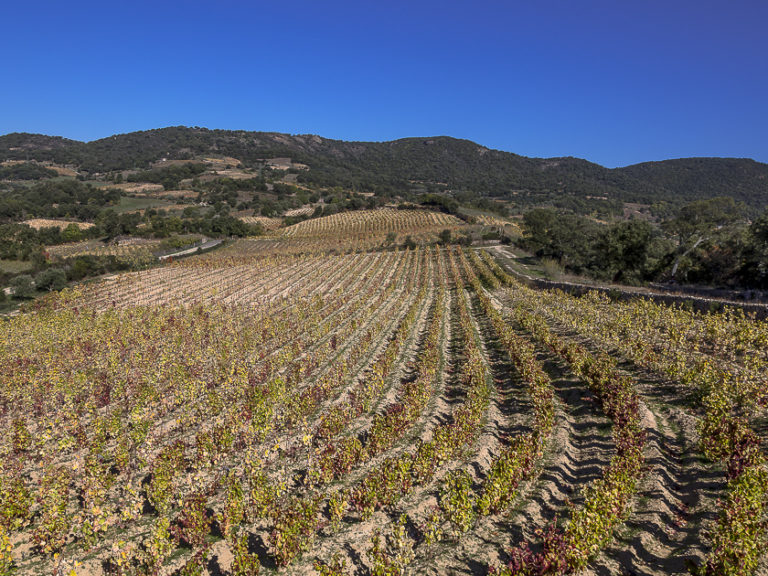 Cantine di Neoneli